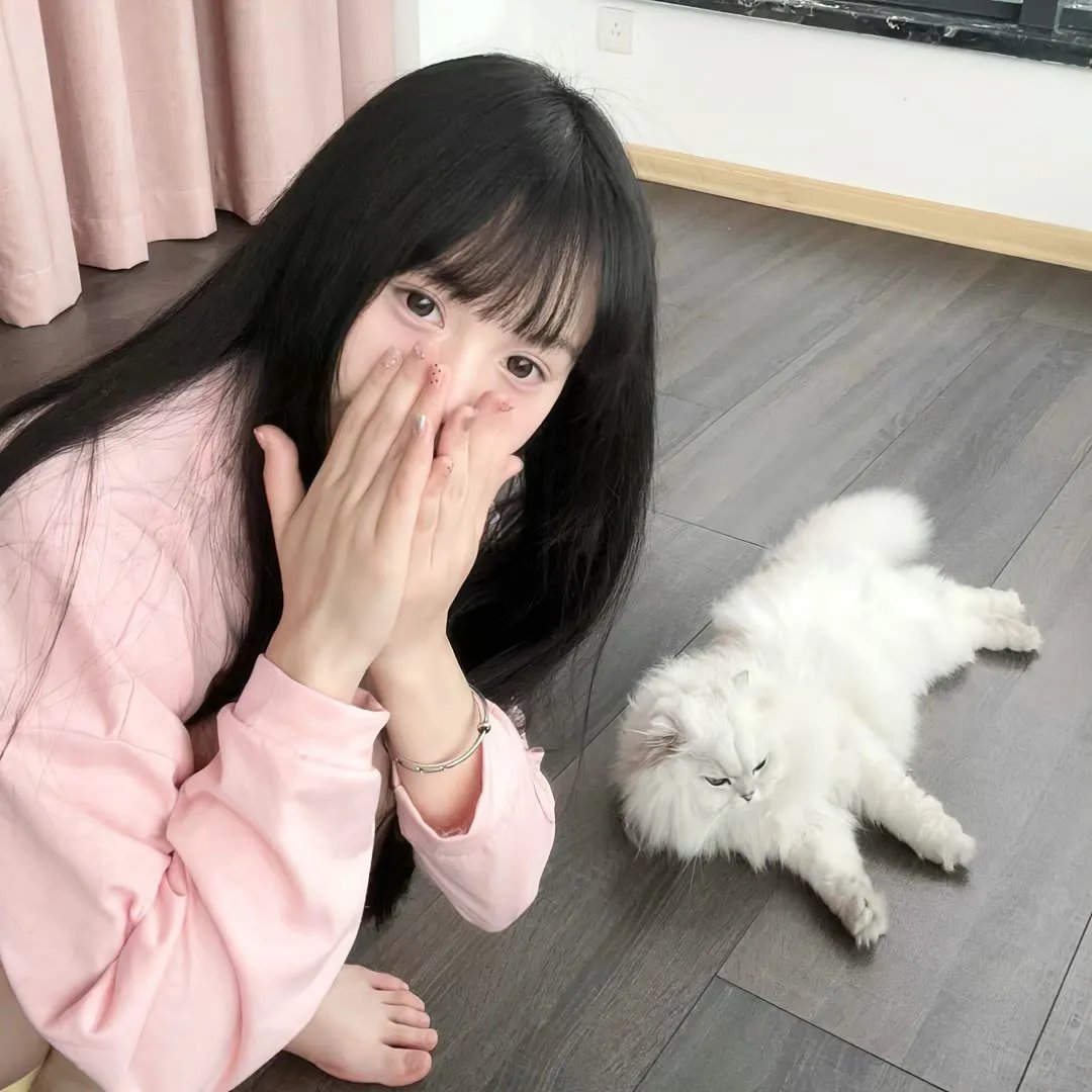 风夏